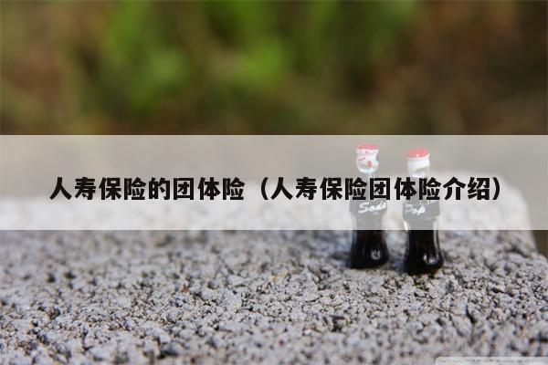 人寿保险的团体险（人寿保险团体险介绍）