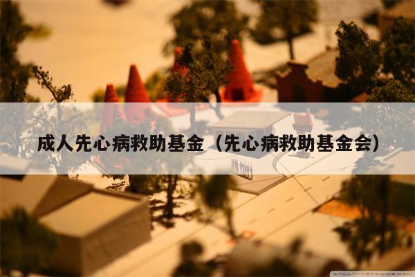 成人先心病救助基金（先心病救助基金会）