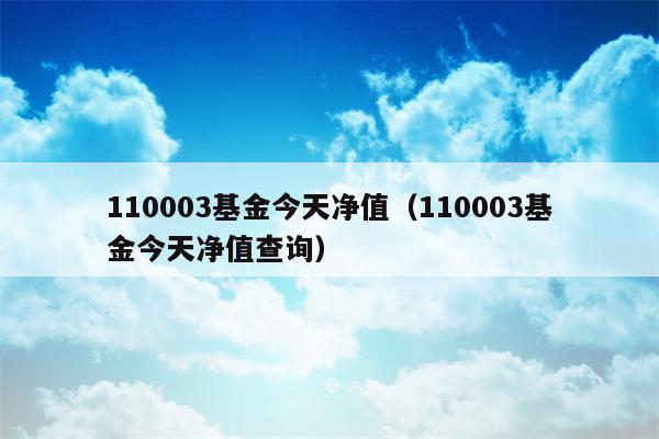 110003基金今天净值（110003基金今天净值查询）