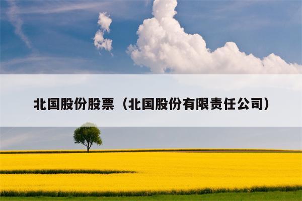 北国股份股票（北国股份有限责任公司）