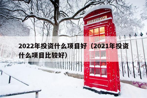 2022年投资什么项目好（2021年投资什么项目比较好）