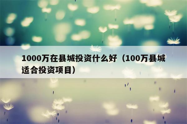 1000万在县城投资什么好（100万县城适合投资项目）