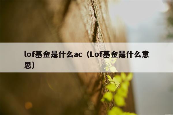 lof基金是什么ac（Lof基金是什么意思）