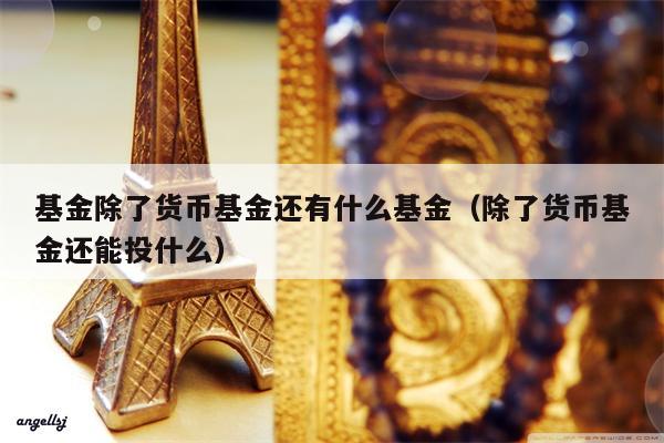 基金除了货币基金还有什么基金（除了货币基金还能投什么）