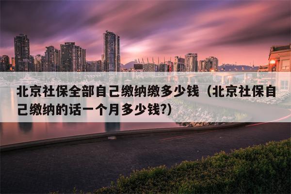 北京社保全部自己缴纳缴多少钱（北京社保自己缴纳的话一个月多少钱?）