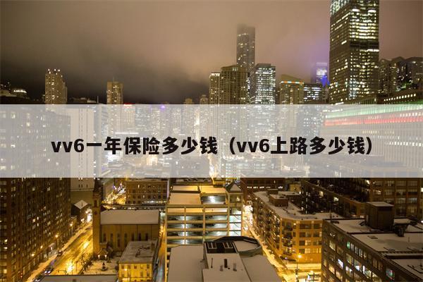 vv6一年保险多少钱（vv6上路多少钱）