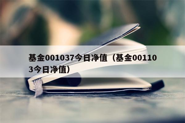 基金001037今日净值（基金001103今日净值）