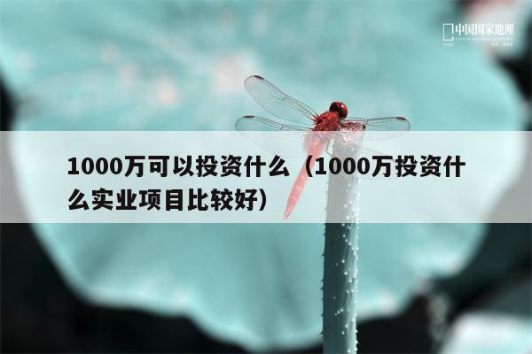 1000万可以投资什么（1000万投资什么实业项目比较好）