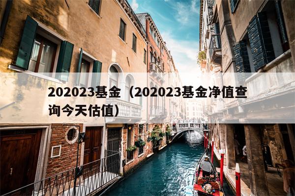 202023基金（202023基金净值查询今天估值）