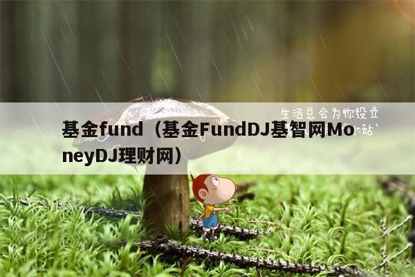 基金fund（基金FundDJ基智网MoneyDJ理财网）