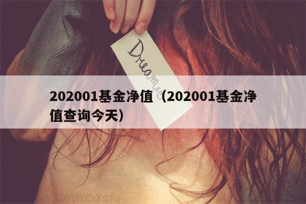 202001基金净值（202001基金净值查询今天）