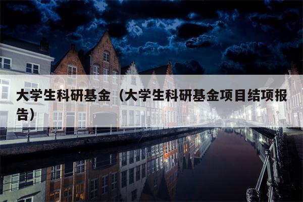 大学生科研基金（大学生科研基金项目结项报告）