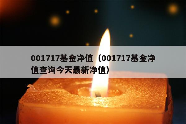 001717基金净值（001717基金净值查询今天最新净值）