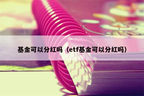 基金可以分红吗（etf基金可以分红吗）