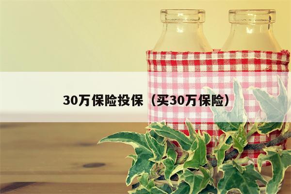 30万保险投保（买30万保险）