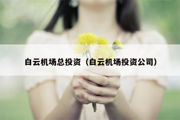 白云机场总投资（白云机场投资公司）