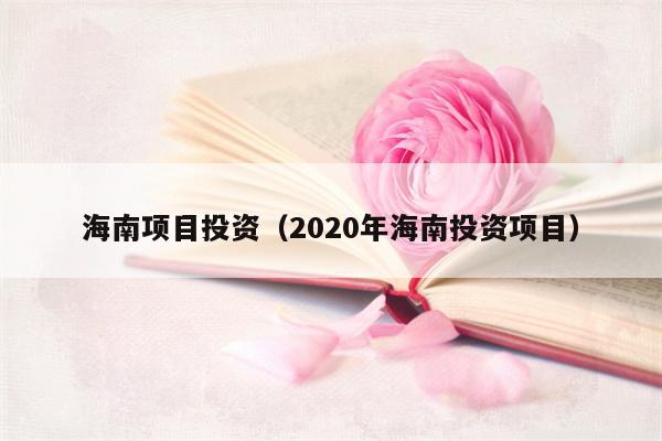 海南项目投资（2020年海南投资项目）