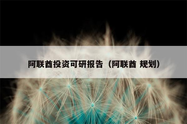 阿联酋投资可研报告（阿联酋 规划）