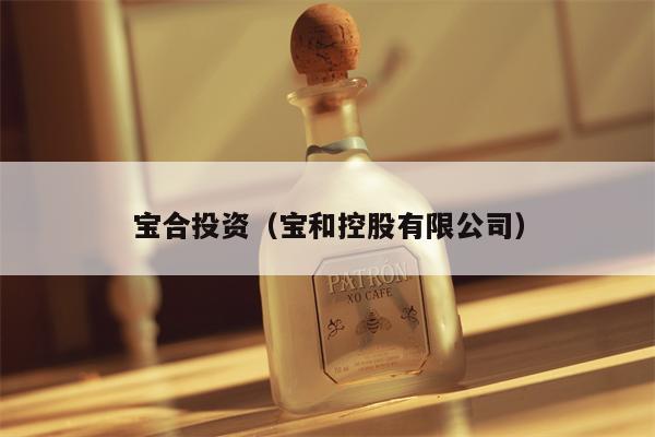 宝合投资（宝和控股有限公司）