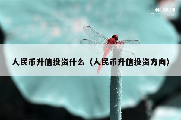 人民币升值投资什么（人民币升值投资方向）