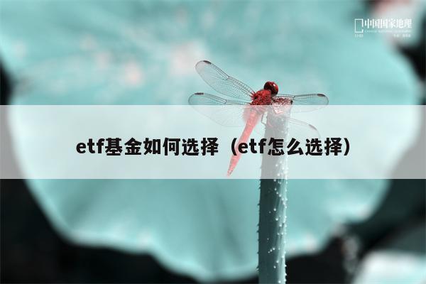 etf基金如何选择（etf怎么选择）