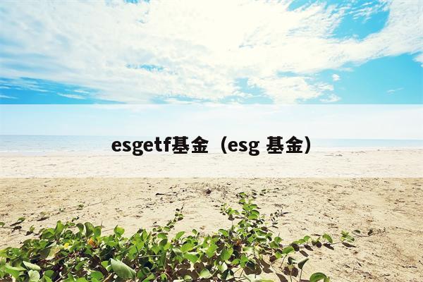 esgetf基金（esg 基金）