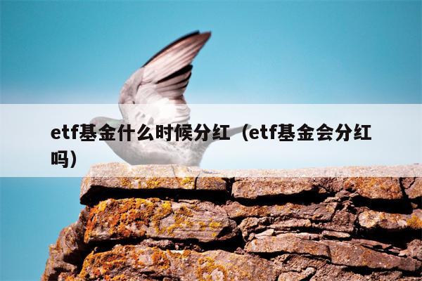 etf基金什么时候分红（etf基金会分红吗）