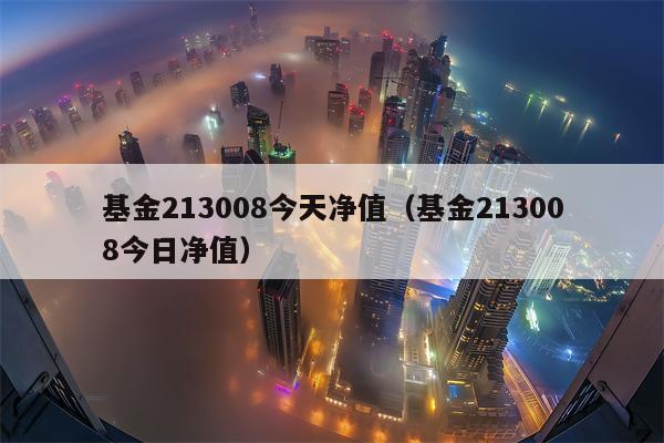 基金213008今天净值（基金213008今日净值）