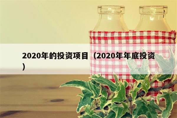 2020年的投资项目（2020年年底投资）