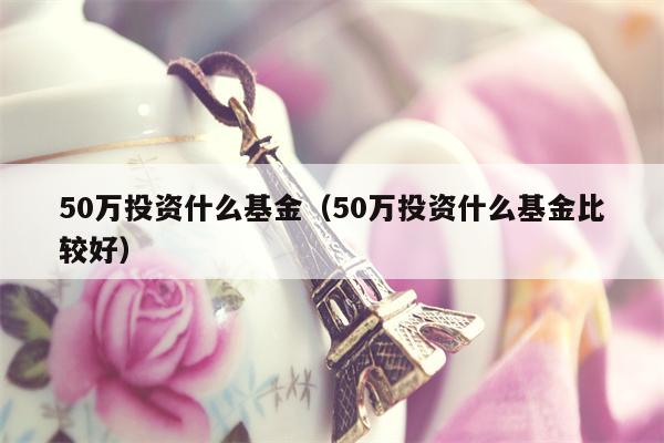 50万投资什么基金（50万投资什么基金比较好）