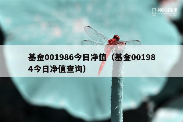 基金001986今日净值（基金001984今日净值查询）