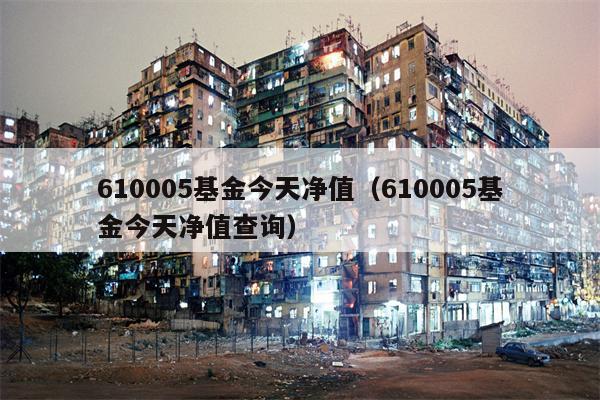 610005基金今天净值（610005基金今天净值查询）