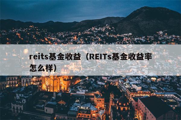 reits基金收益（REITs基金收益率怎么样）