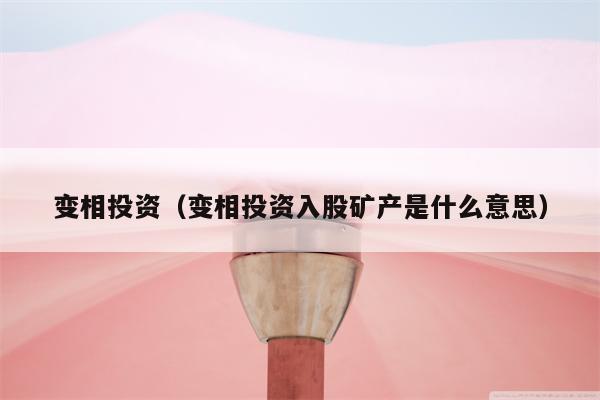 变相投资（变相投资入股矿产是什么意思）