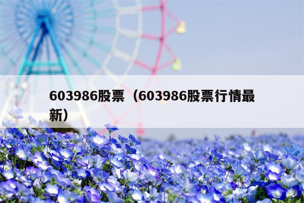 603986股票（603986股票行情最新）