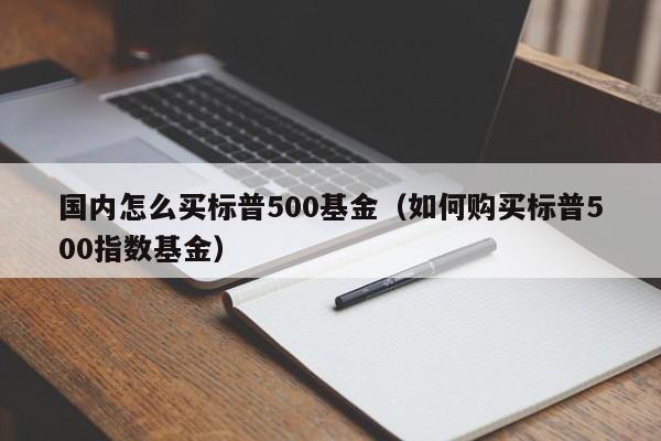 国内怎么买标普500基金（如何购买标普500指数基金）