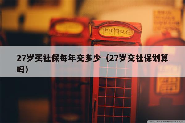 27岁买社保每年交多少（27岁交社保划算吗）