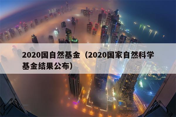 2020国自然基金（2020国家自然科学基金结果公布）