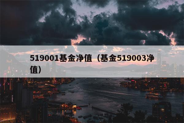 519001基金净值（基金519003净值）