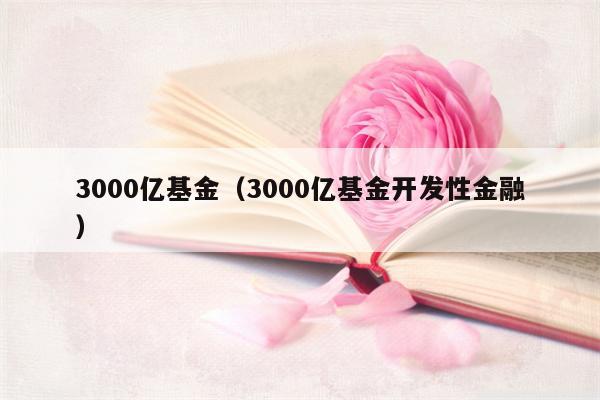 3000亿基金（3000亿基金开发性金融）