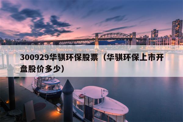 300929华骐环保股票（华骐环保上市开盘股价多少）