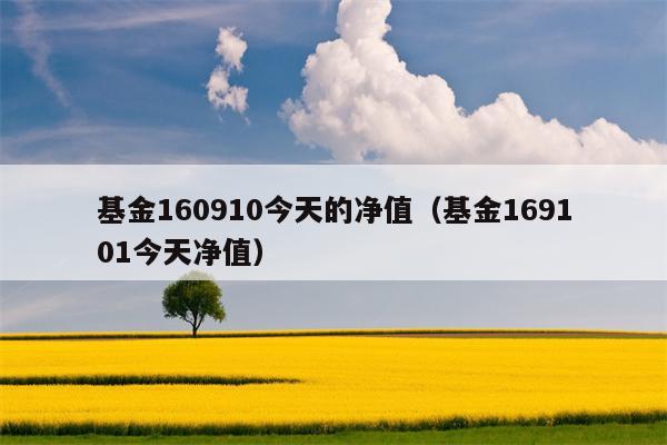 基金160910今天的净值（基金169101今天净值）