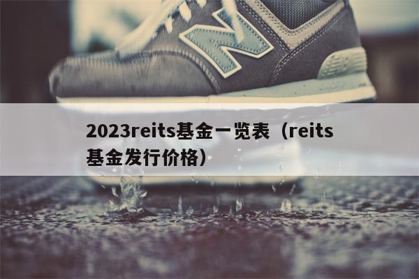 2023reits基金一览表（reits基金发行价格）