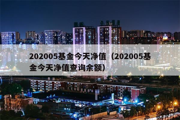 202005基金今天净值（202005基金今天净值查询余额）