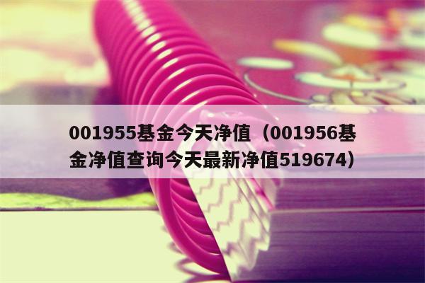 001955基金今天净值（001956基金净值查询今天最新净值519674）