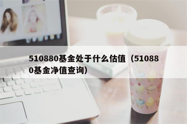 510880基金处于什么估值（510880基金净值查询）