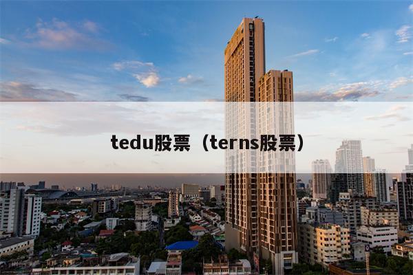 tedu股票（terns股票）