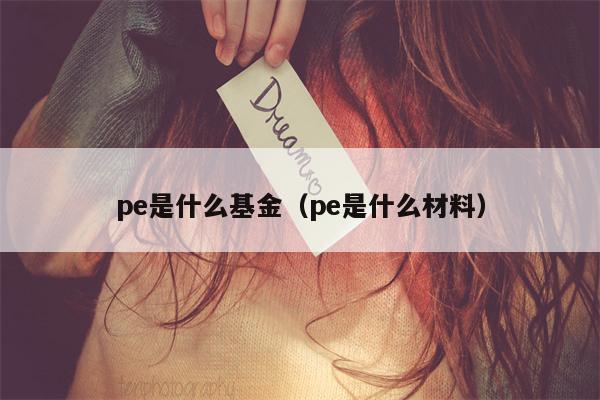 pe是什么基金（pe是什么材料）