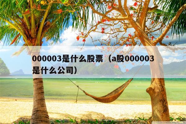 000003是什么股票（a股000003是什么公司）