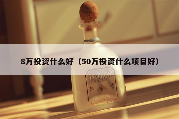 8万投资什么好（50万投资什么项目好）